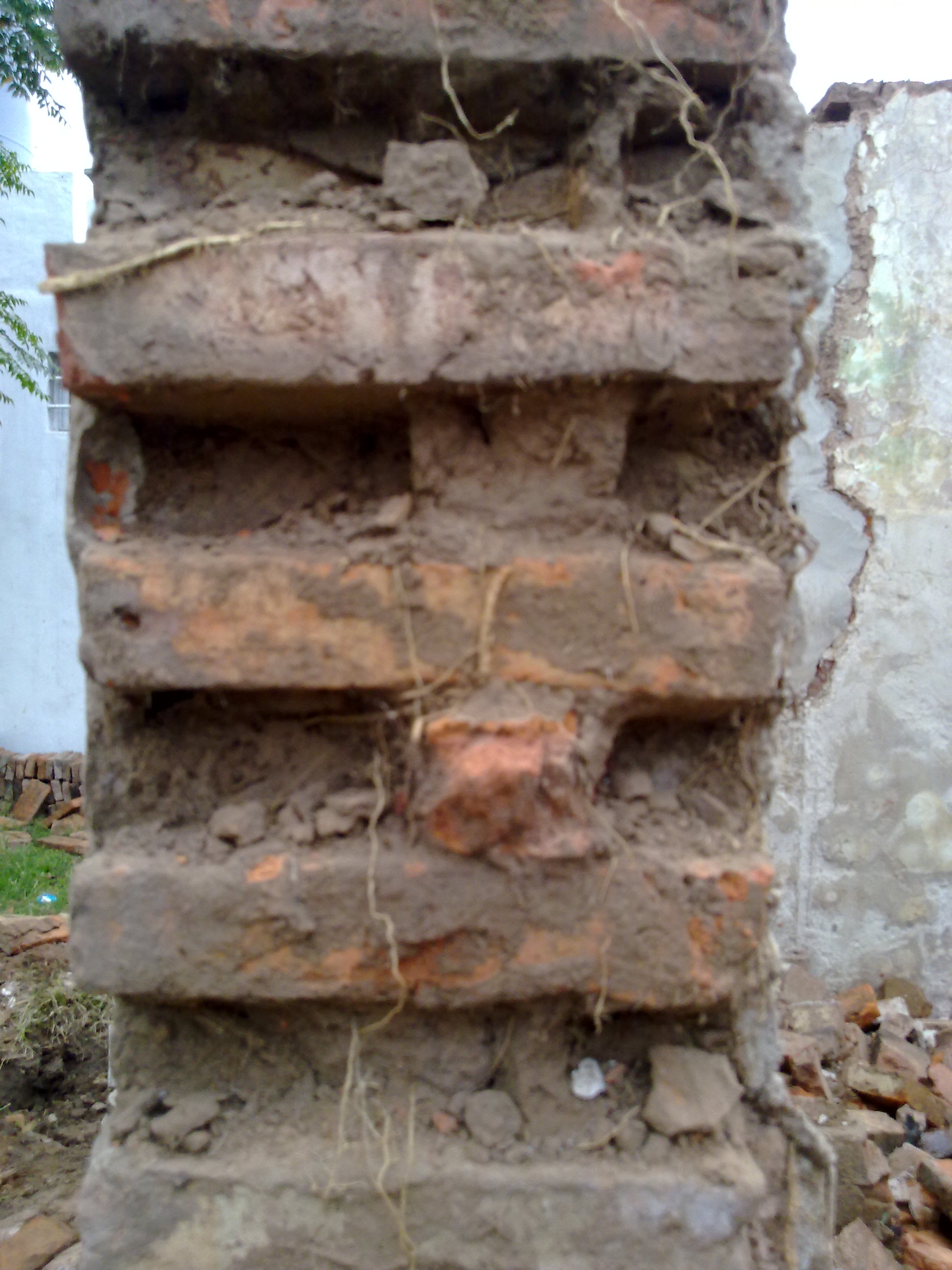 fotos/2012-04-22 - Terreno Osvaldo/22042012268.jpg